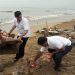 AEML activates cleanliness drive at Juhu beach post Ganpati Immersion