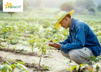 FarmERP on how the COVID-19 pandemic has affected the input and output of the Agricultural secor: