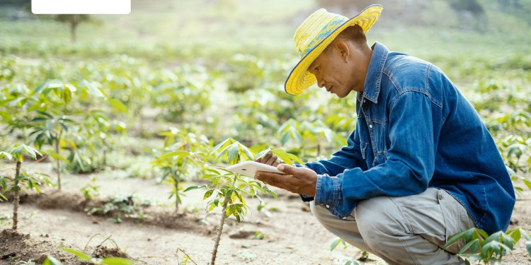 FarmERP on how the COVID-19 pandemic has affected the input and output of the Agricultural secor: