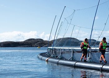 Signify and ScaleAQ partner up in sustainable fish farming.