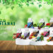 Shree Vedyaraj: The Ayurvedic Brand Revolutionizing Wellness with Scientifically Optimized Formulations