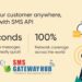 Back To The Basics – Why SMS is the  primary and powerful tool of Marketing