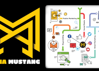 Media Mustang: Best Digital Marketing Company in India