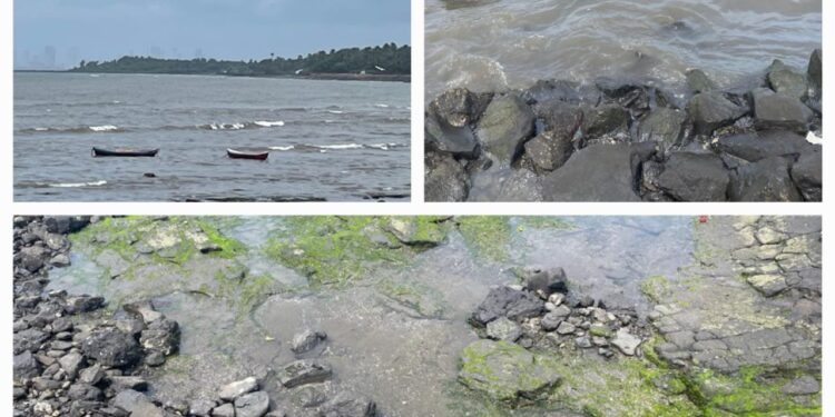 No damage due to oil spill near Uran