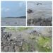 No damage due to oil spill near Uran