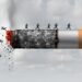 India can guide COP10 to include science & evidence-based policy to solve for tobacco diseases