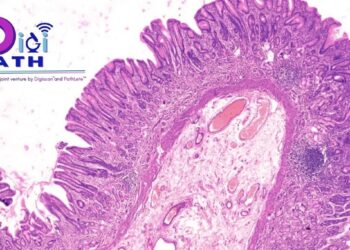 DigiPath: Pioneering the Digital Revolution in Diagnostic Pathology