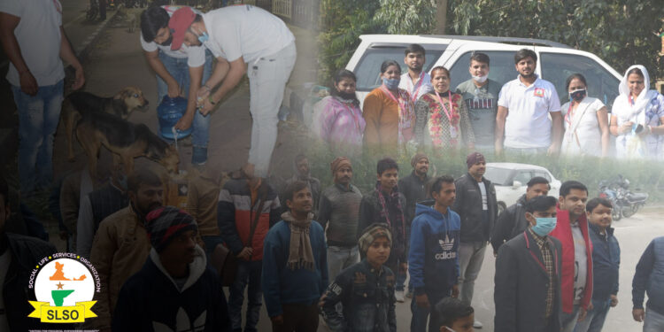 Social Life Services Organization (SLSO): Making a Positive Impact on Communities