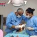Simpladent Revolutionizes Dental Implants, Offering Permanent Teeth in Just 48 Hours