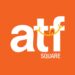 ATF Square: A Global Culinary Journey for the Vegetarian Palate in Vapi