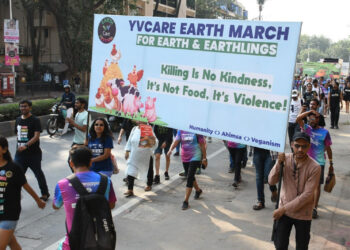 YVCare Earth Festival Poised to Emerge as Asia’s Largest Vegan Event
