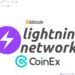 Replacement Cycle Attack in the Lightning Network