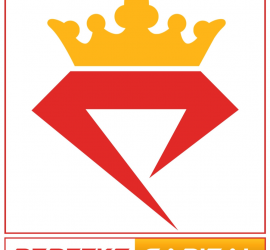 Perfekt Capital a forex brokerage services Integrates with MetaTrader 5 platform
