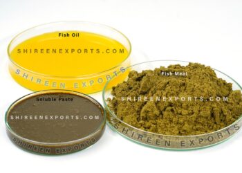 Discover the Unmatched Quality for Premium Fish Meal Manufacturer , Fish oil and Fish Soluble Paste – Setting Global Standards from India