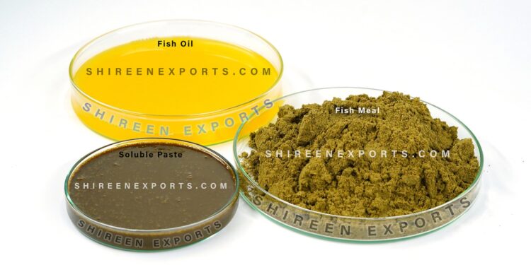Discover the Unmatched Quality for Premium Fish Meal Manufacturer , Fish oil and Fish Soluble Paste – Setting Global Standards from India