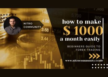 Unlocking the Power of Stock and Forex Trading with Nitro Community