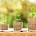 Bank FD vs Corporate FD: Which One Should You Choose?