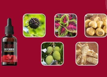 Sugar Defender Reviews: A Natural Solution for Blood Sugar Support in 2024