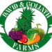 HARVEST FOR HUMANITY: DAVID & GOLIATH FARMS FUELS RAMADAN FEASTS WITH A MOUNTAIN OF VEGGIES