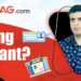 Why is blogging Important?
