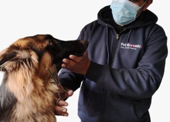 Pet Groomly – Best at-home Grooming Services at an affordable cost for every pet parent