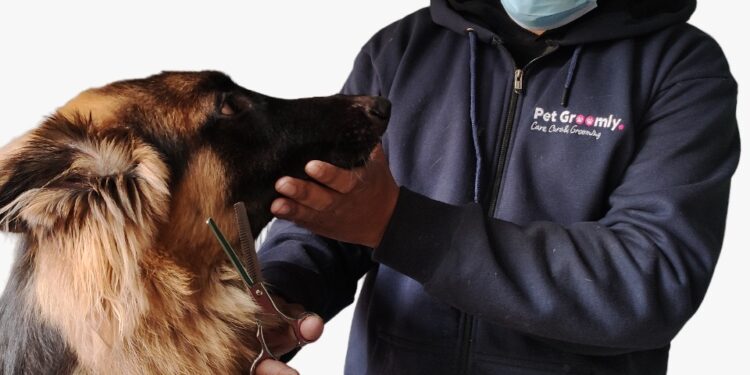 Pet Groomly – Best at-home Grooming Services at an affordable cost for every pet parent