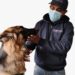 Pet Groomly – Best at-home Grooming Services at an affordable cost for every pet parent