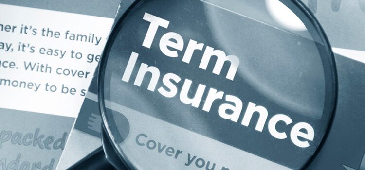 Understanding the Tax Benefits of Term Insurance Plans