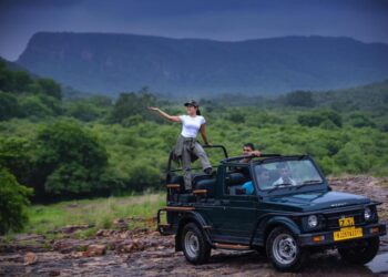 Explore the Wilderness of Ranthambore National Park: Your Ultimate Safari Adventure Awaits