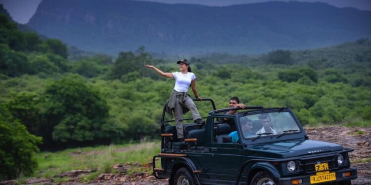 Explore the Wilderness of Ranthambore National Park: Your Ultimate Safari Adventure Awaits