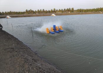 Aquaculture industry’s Leading paddle wheel aerator manufacturers Ardis Enviro Solutions
