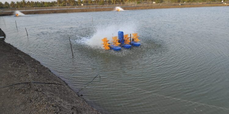 Aquaculture industry’s Leading paddle wheel aerator manufacturers Ardis Enviro Solutions
