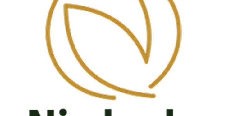 Unveiling Nimbarka: The Neem Tree of 21st Century Transforming Skin Health