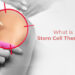 What Is Stem Cell Therapy? How Does It Work?