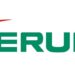 Terumo India launches TREO® Abdominal Stent-graft system