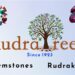 RudraTree: The Spiritual Epicenter for Genuine Gemstones in Bangalore