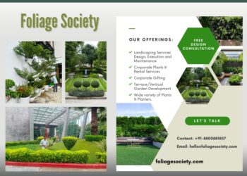Elevate Your Outdoors with Foliage Society’s Expert Maintenance Services