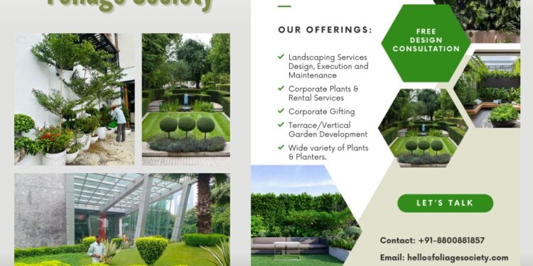 Elevate Your Outdoors with Foliage Society’s Expert Maintenance Services