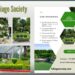 Elevate Your Outdoors with Foliage Society’s Expert Maintenance Services