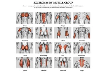 Flexxp.com: Unlock Your Fitness Potential with the Ultimate Workout Generator