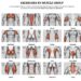Flexxp.com: Unlock Your Fitness Potential with the Ultimate Workout Generator