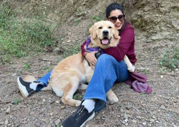 Bakson Veterinary: Revolutionizing Pet Care with Homeopathic Solutions, Inspired by a Personal Journey of Healing
