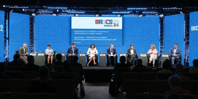 Nornickel’s Palladium Centre proposed initiatives for public-private partnerships in BRICS countries