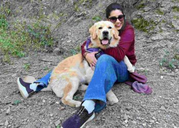 Bakson Veterinary: Revolutionizing Pet Care with Homeopathic Solutions, Inspired by a Personal Journey of Healing