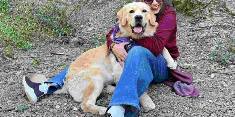 Bakson Veterinary: Revolutionizing Pet Care with Homeopathic Solutions, Inspired by a Personal Journey of Healing
