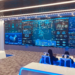 Asprofin Bank and 360 Wowcom’s Starlink Project, Redefining Global Connectivity with Low Earth Orbit Satellites.
